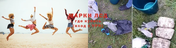 прущие грибы Нягань