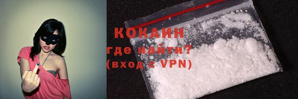 прущие грибы Нягань