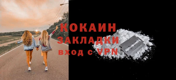 дмт Осташков