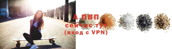 прущие грибы Нягань