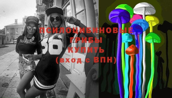 дмт Осташков