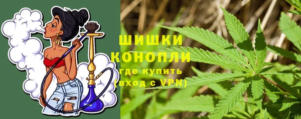 прущие грибы Нягань