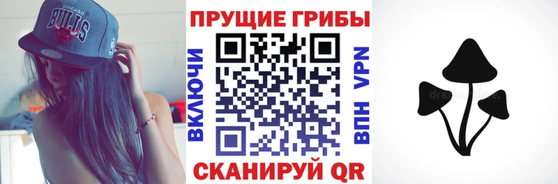 Галлюциногенные грибы MAGIC MUSHROOMS Ак-Довурак